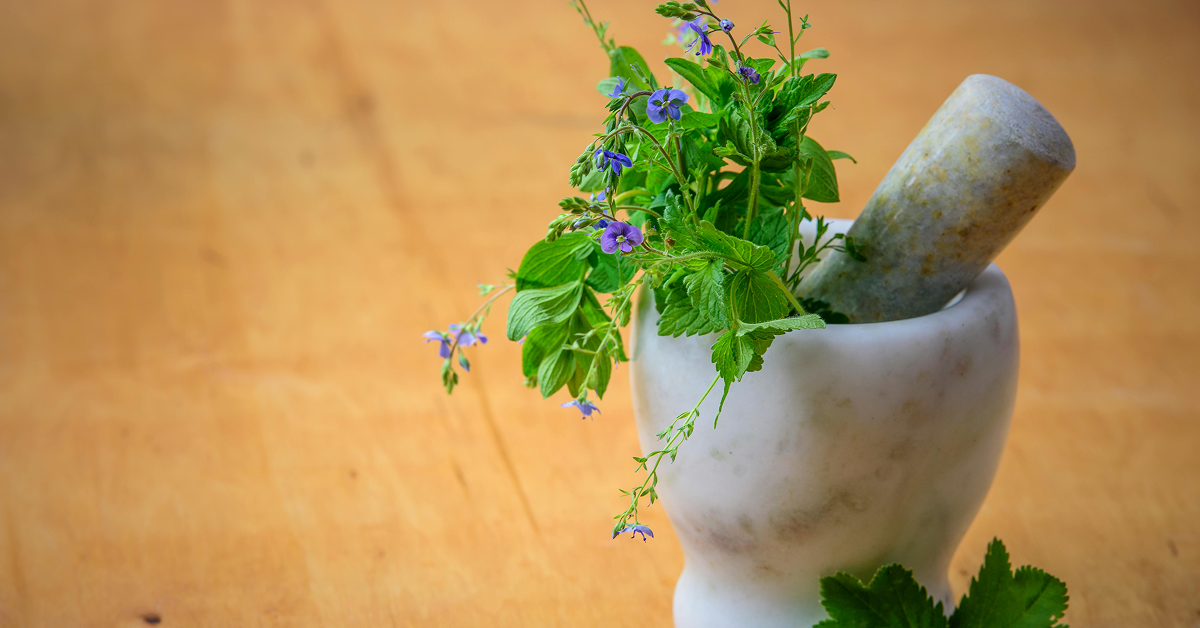 A white marble mortar and pestle filled with fresh green herbs and small purple flowers on a wooden surface.